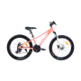 Велосипед ARDIS Comet X5 24