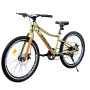Велосипед Ardis Skif 24 MTB AL
