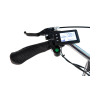 Електровелосипед ARDIS 26 CTB CT LIDO E-BIKE 350W